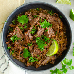 Salsa Verde Shredded Beef