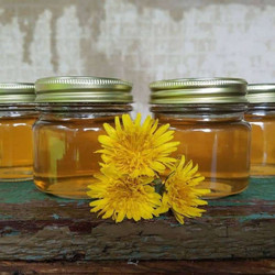 Canning Dandelion Flower Jelly