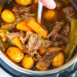 Best Instant Pot Pot Roast