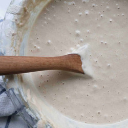 Sourdough Starter