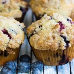 Blueberry Muffins