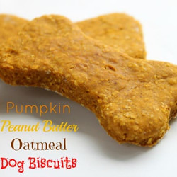 Pumpkin Peanut Butter Oatmeal Dog Biscuits