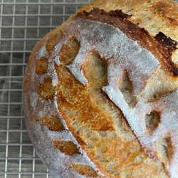 Faux No-starter Sourdough