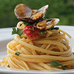 Spaghetti Vongole