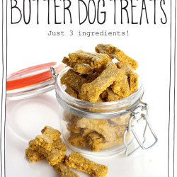 Pumpkin &amp; Peanut Butter Dog Treats (just 3 Ingredients!)