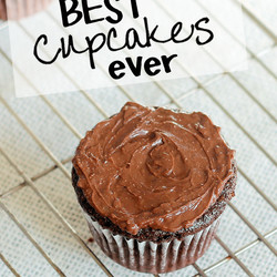 Chocolate Mayonnaise Cupcakes