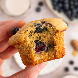 Blueberry Protein Muffins