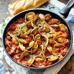 Spicy Spanish Clams With Tomatoes