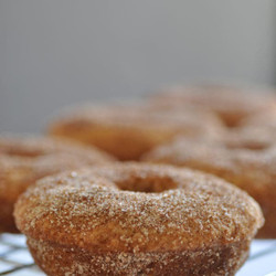 Vegan Baked Apple Cider Doughnuts