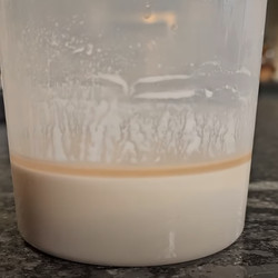 Sourdough Starter