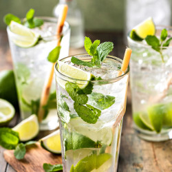 Mojito Recipe