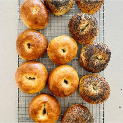 Sourdough Egg Bagel Recipe