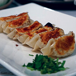 Gyoza