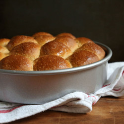 Cornmeal Molasses Rolls