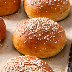 Gluten Free Burger Buns