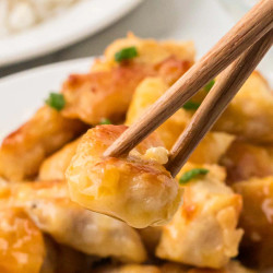 Orange Chicken Freezer Meal Recipe