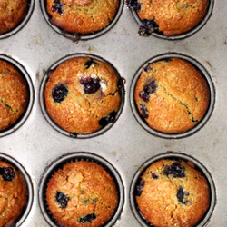 Vegan Blueberry Sourdough Muffins