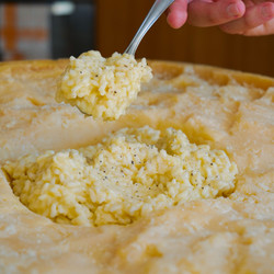 Cheese Wheel Risotto Alfredo