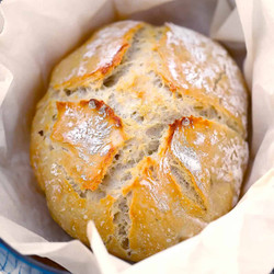 Dutch Oven No Knead Crusty Bread