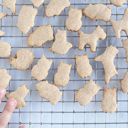 Easiest Animal Crackers Recipe