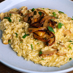 Mushroom Risotto