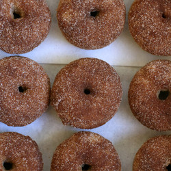 Gluten-free Cinnamon Sugar Donuts