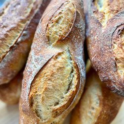 Sourdough Baguette Recipe