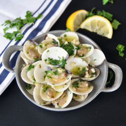 Clams In White Wine Sauce