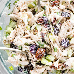 Cranberry Chicken Salad Recipe