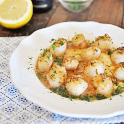 Seared Scallops With Champagne Sauce