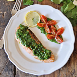 Grilled Salmon With Homemade Spanish Pesto