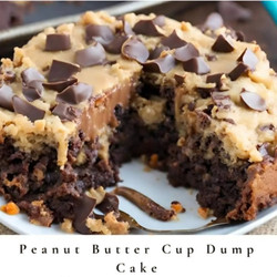 Peanut Butter Chocolate Dump Cake