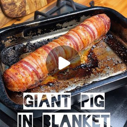 Giant Pig In Blanket