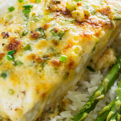 Garlic Parmesan Baked Halibut @ Totallychefs