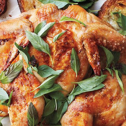 Spatchcocked Chicken With Herbs &amp; Lemon | Martha Stewart