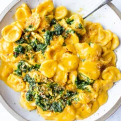 Orecchiette Pasta With Carrot Miso Sauce