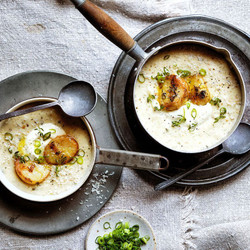 Parmesan Potato Soup Recipe