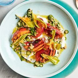 Fino’s Grilled Peach, Zucchini Flowers And Stracciatella