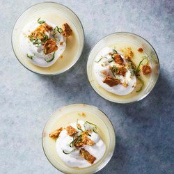 Lime Pudding Cups