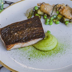 Hiramasa Kingfish, Zucchini, Garden Peas, Lemon Gel, Oyster Beignet And Sea Foam - Chef Recipe Pete Cutcliffe And Adam Tait