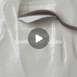 Fig Leaf Greek Yoghurt Gelato