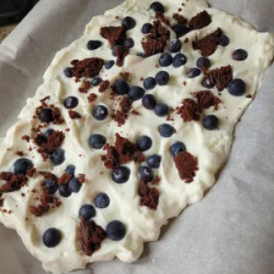 Weight Watchers Yogurt Candy Bar Bark