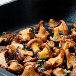 Copy of Sautéed Chanterelle Mushrooms