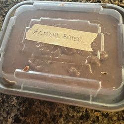 Maple-Cinnamon Superseed Almond Butter