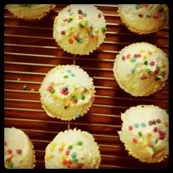 High Altitude Vanilla Cupcake Recipe