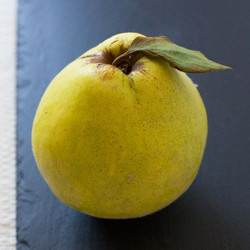Quince Syrup Recipe