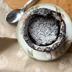 Microwave Brownie Mug Cake - Pb2
