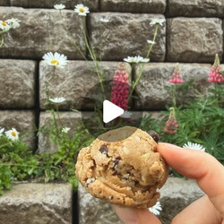 Higher Protein Peanut Butter Chocolate Chip Power Bites