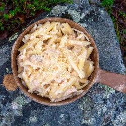 Easy Cheesy Salmon Pasta