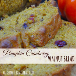 Pumpkin Cranberry Walnut Bread